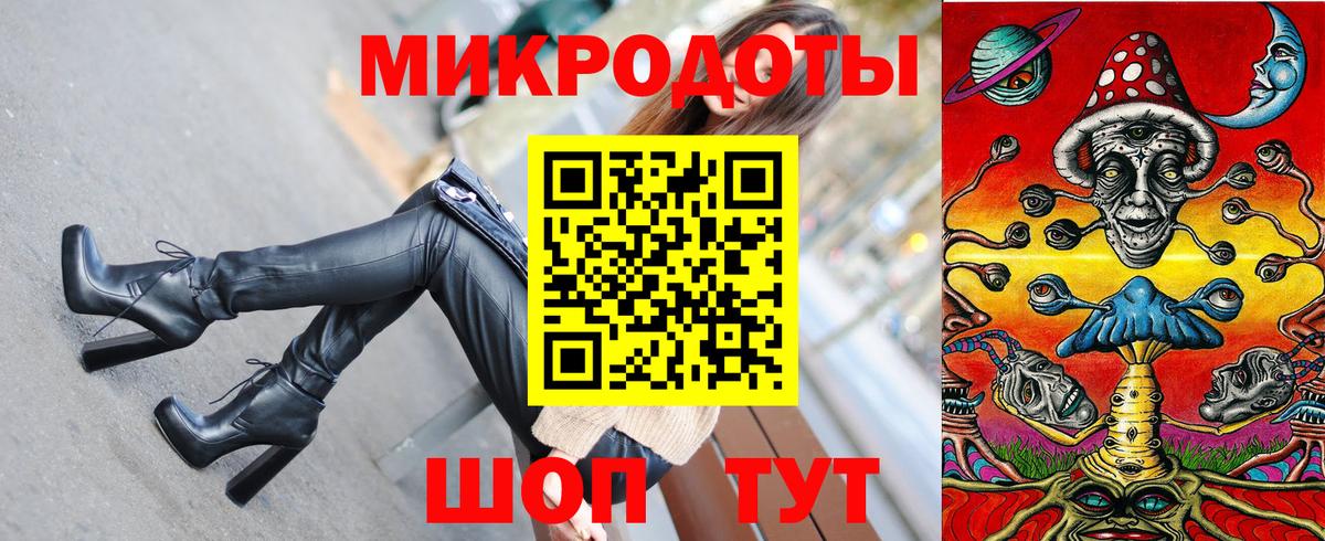 Галлюциногенные грибы Psilocybine cubensis Северобайкальск