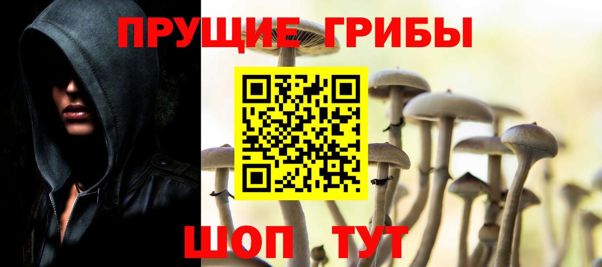 Псилоцибиновые грибы Magic Shrooms Северобайкальск