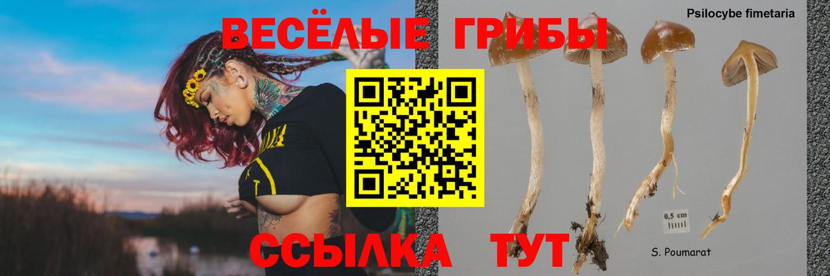 Псилоцибиновые грибы Psilocybine cubensis  Вход с VPN  Северобайкальск 