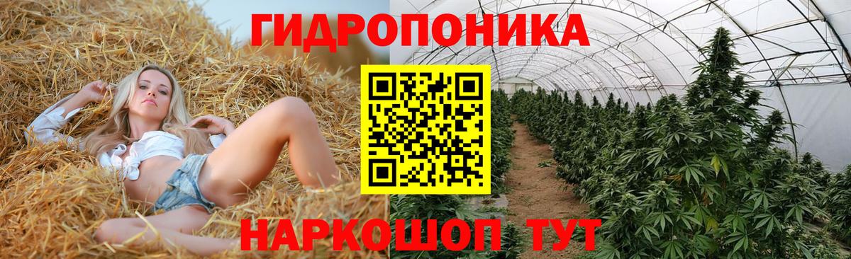Северобайкальск  МАРИХУАНА тримм  Каннабис White Widow  Вход с VPN  Бошки марихуана Bruce Banner  Марихуана планчик 